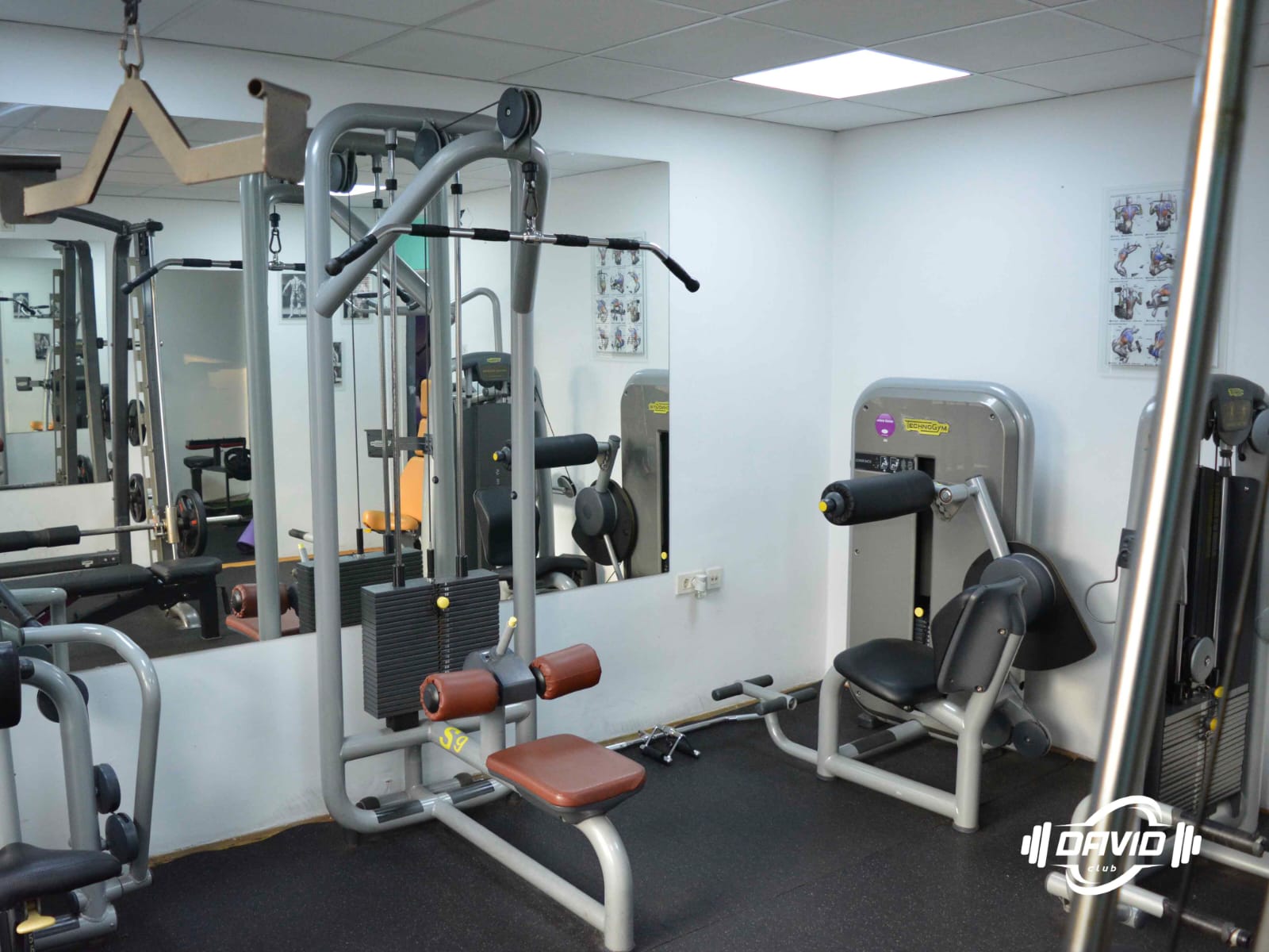 Внатрешност 6